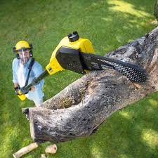 Best Pest Control for Lawns  in Windermere, FL